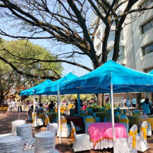 10x10 ft Canopy Gazebo Tent