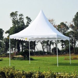 3x3 Meter Pagoda Tent